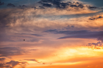 Orange cloudscape and flying birds , sunset shot