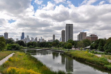 Fototapeta na wymiar Chicago buildings from Lincoln park, Chicago, Illinois, USA