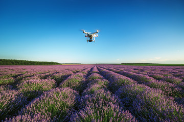 Naklejka premium Osobisty dron lecący nad pięknym lawendowym polem