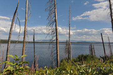 Paintbrush Canyon Trail in Grand Tetons National Park, Wyoming,