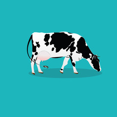 Cow.Vector icon