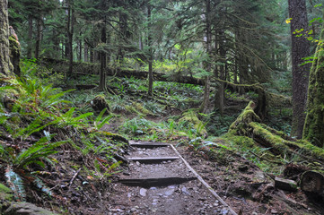 Olympic National Park, Washington, USA