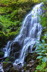 Waterfall near Multnomah Falls, Columbia River Gorge, Oregon, USA