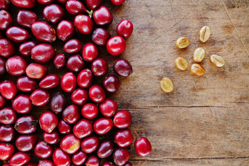 Coffe beans and fresh berries beans backgourng