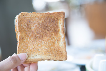 toasted bread slice in hand