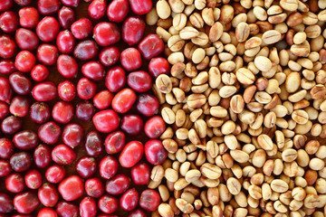 Coffe beans and fresh berries beans backgourng