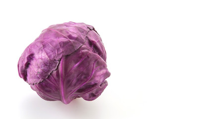 Fototapeta premium Purple cabbage