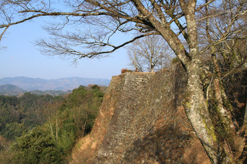 岡城の石垣