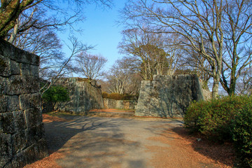 Fototapeta premium 岡城の石垣