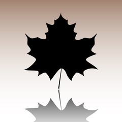 Maple leaf icon