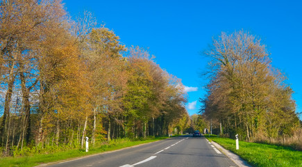 Naklejka premium France picturesque country road