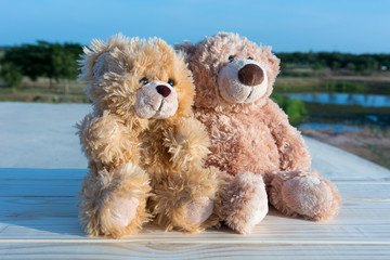 Teddy bears watching sunrise