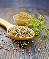 Coriander in bowl and spoon on board