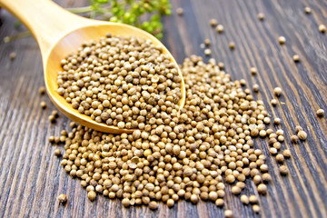 Coriander seeds in spoon on dark board