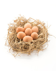 hen eggs