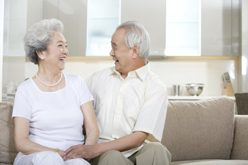 Portrait of a senior couple at home