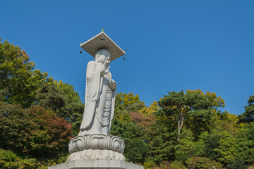 Bongeunsa temple in seoul city at Korea