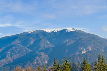  The Carpathian Mountains with pines forest, colored trees, cloudy vibrant sky, fog, autumn-winter time. Predeal, Romania.