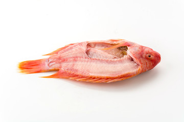tilapia raw