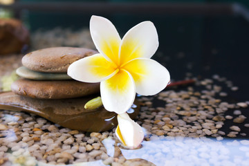 Obraz na płótnie Canvas plumeria or frangipani decorated on water and pebble rock in zen