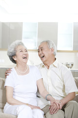 Portrait of a senior couple at home