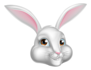 Cartoon Bunny Rabbit