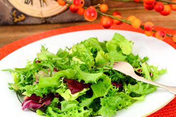 Green Fresh Salad on Plate.