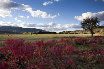 Shangri-La in Autumn,Yunnan,China