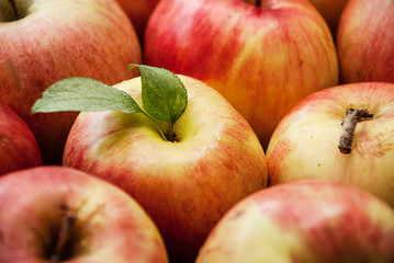 Group of red apples with their leaves