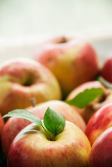 Group of red apples with their leaves