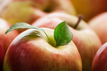 Group of red apples with their leaves