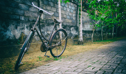 Vintage Fahrrad vor einer Mauer mit Palmen
