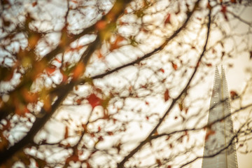 wonderful views of the main places of London