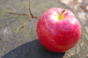 林檎と切り株