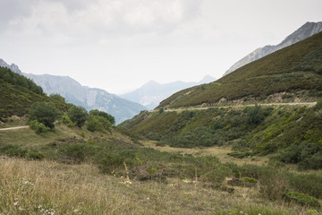 Heathlands in Saliencia Valley, Somiedo Nature Reserve. It is located in the central area of the Cantabrian Mountains in the Principality of Asturias in northern Spain