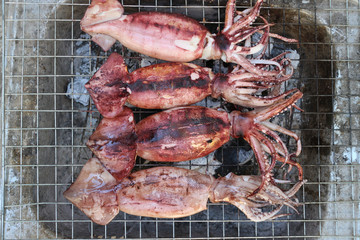 The Grilled squid