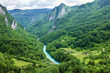 Green hills and mountain river. Natural landscape, Montenegro - obrazy, fototapety, plakaty