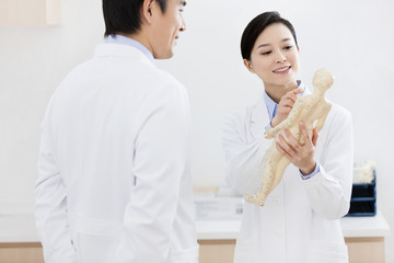 Obraz premium Doctors studying anatomical model