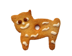 Cookie cat