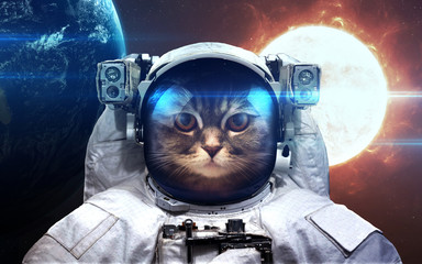 Cat Astronaut in outer space. Spacewalk. Elements of this image furnished by NASA