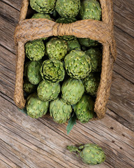 Fresh organic artichokes