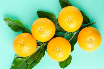 Fresh Navel oranges fruit on green background,healthy food