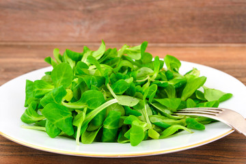 Green Fresh Salad on Plate.