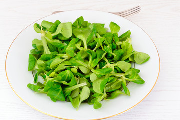 Green Fresh Salad on Plate.