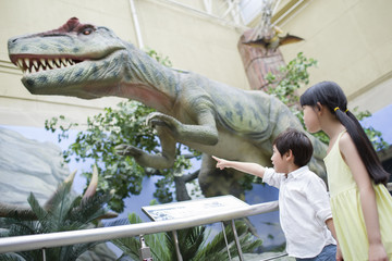 Children in museum of natural history