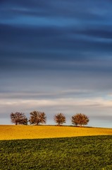 Obraz premium Colline e Colori