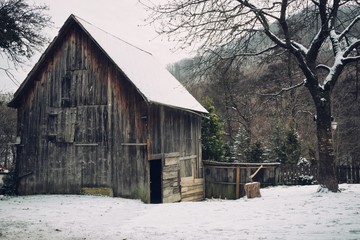 Wooden Shed with Trunk and Ax in Winter