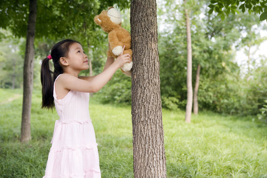 Young Girl Helping Her Teddy Bear Climb A Tree In The Park