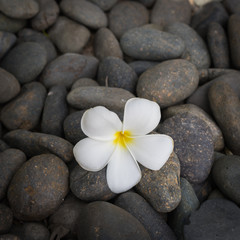 Fototapeta na wymiar SPA set with flower and stones