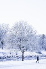 Winter in the North. Djurgarden park, Stockholm, Sweden.